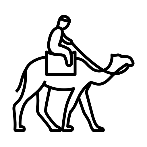 Camel Ride Icon